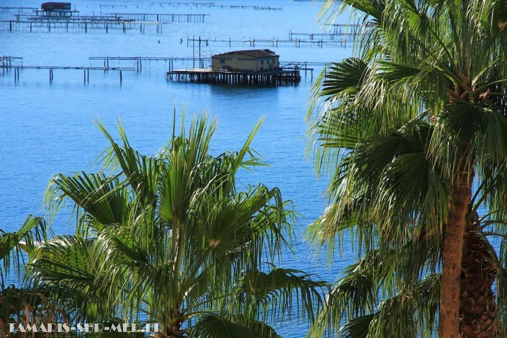 Port Tamaris, Le Troisieme Apartman La Seyne-sur-Mer Kültér fotó